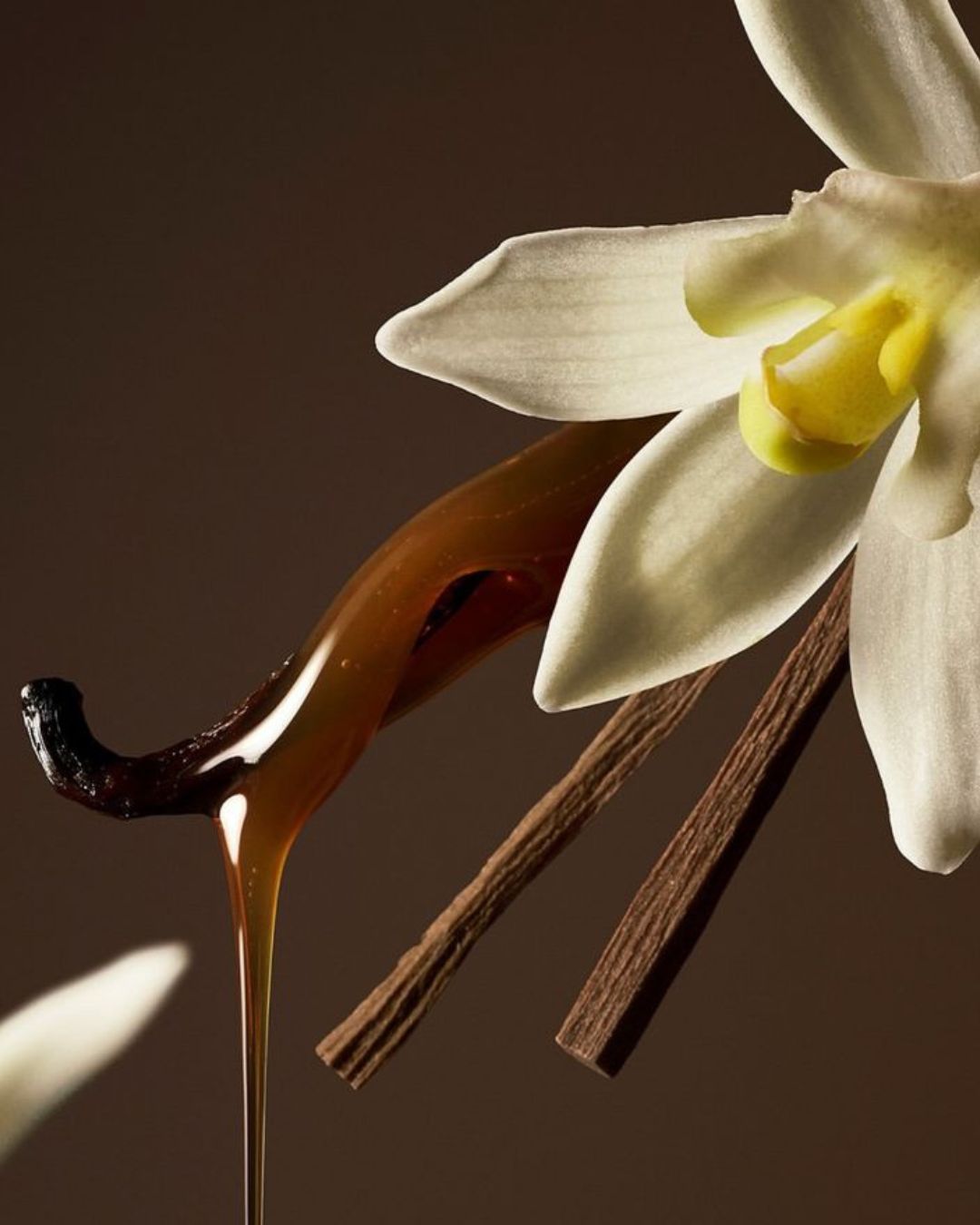 MYSSENCE Cigar Vanilla | 100ml Eau de Parfum