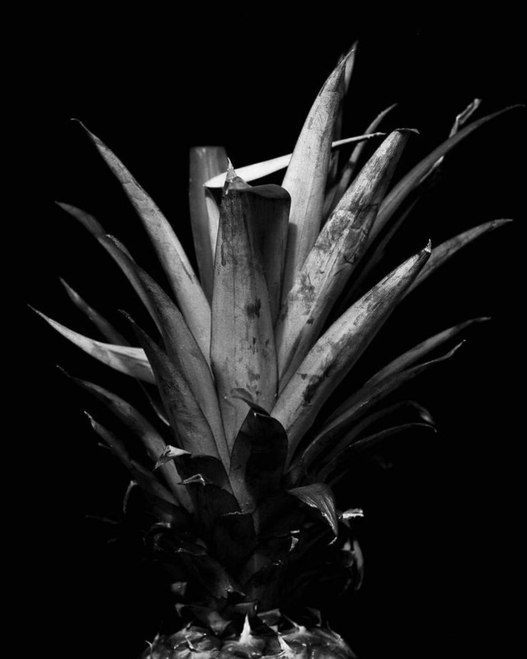 Myssence Eclipse – 100ml Eau de Parfum