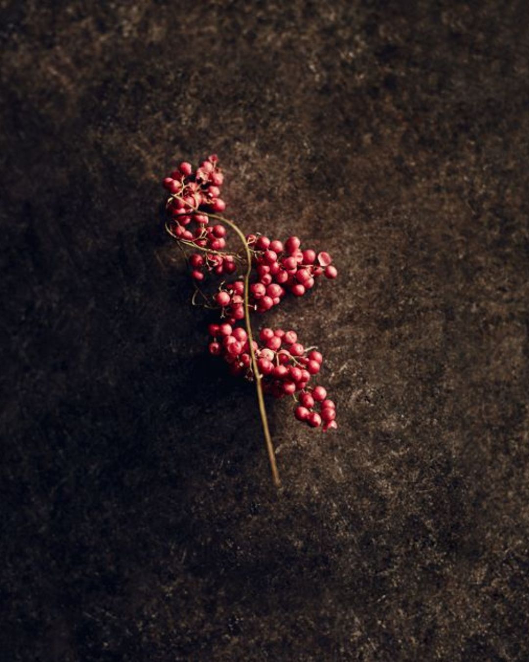 Myssence Velvet Bloom – 50ml Eau de Parfum