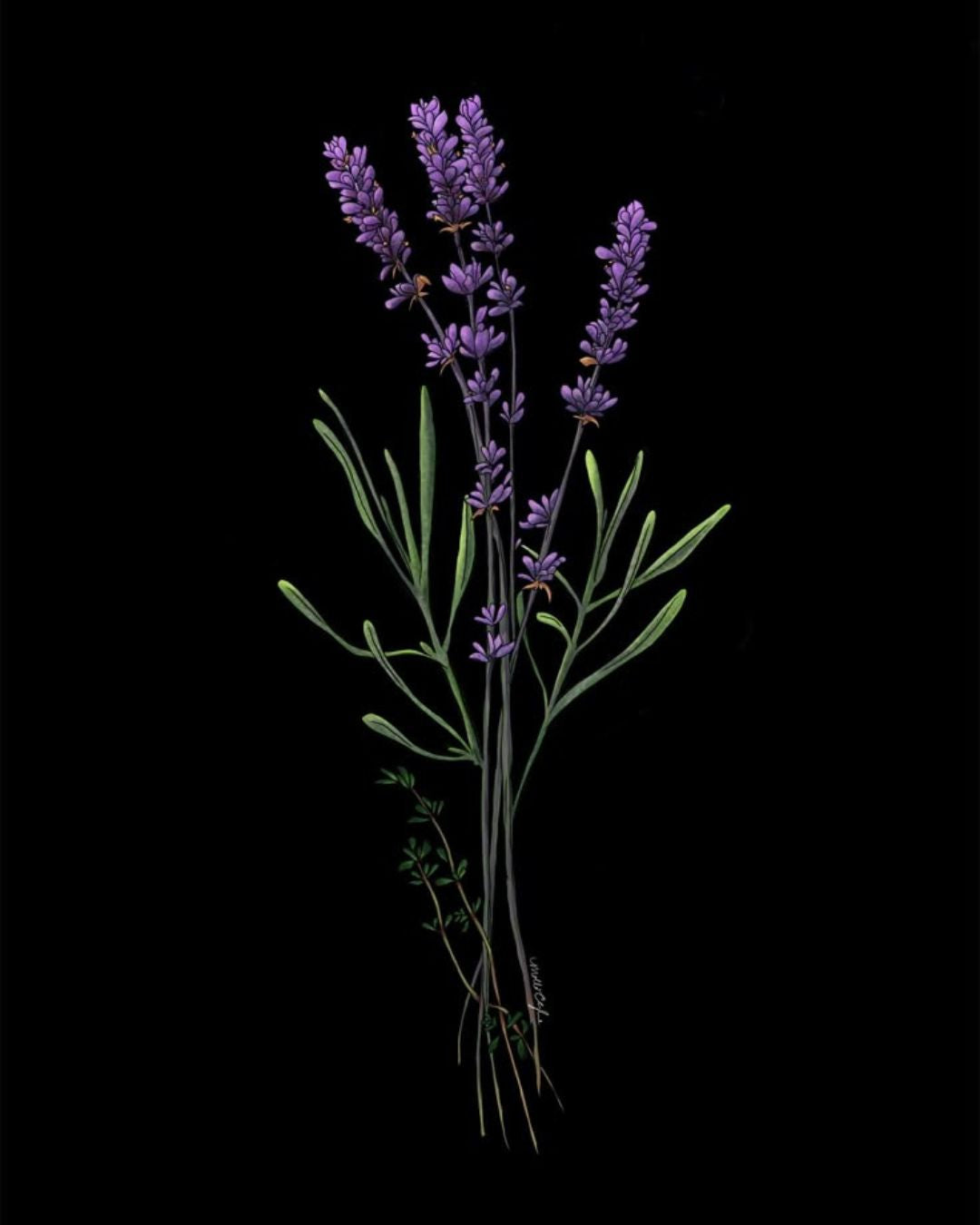 Myssence Nasha Blue – 50ml Eau de Parfum