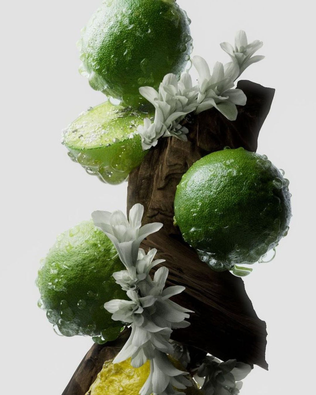 MYSSENCE Legacy 18 | 100ml Eau de Parfum